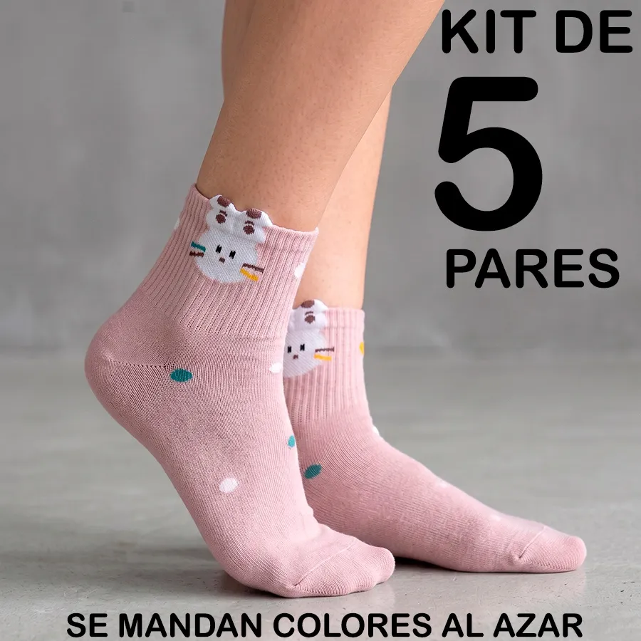 BE6016 EDICION 11877
